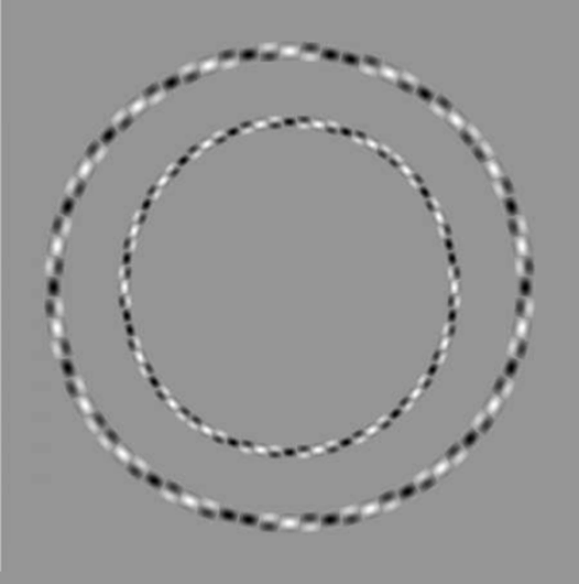 Đây là hai vòng tròn, hoàn toàn không méo.
